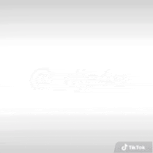 a white background with a tik tok logo on it