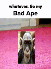 a picture of a chimpanzee with the words whatever go my bad ape