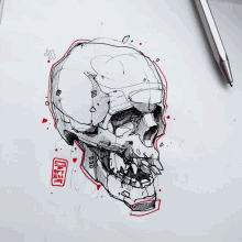 Skull Sketch GIF - Skull Sketch Dead GIFs