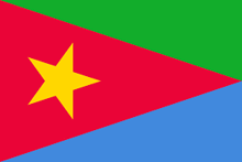the flag of eritrea has a yellow star on it