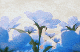 a hand is reaching for a blue flower in a field of flowers