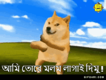 Doge Doge Gif GIF - Doge Doge Gif Doge Bangla GIFs