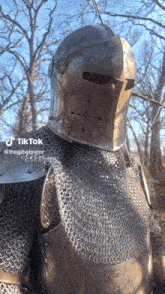 Tiktok Knight My Honest Reaction GIF - Tiktok Knight Knight Tiktok GIFs