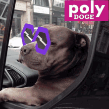 Polydoge Pdoge GIF - Polydoge Polydog Pdoge GIFs