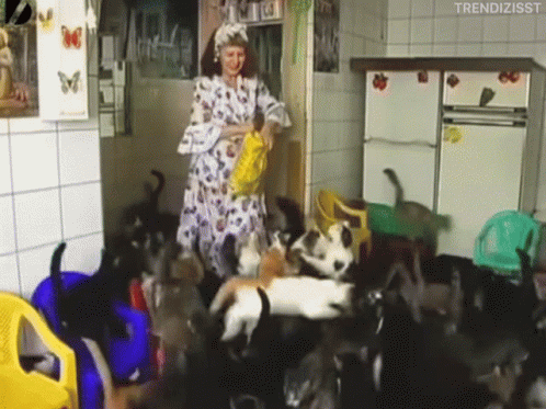 cats-feeding.gif