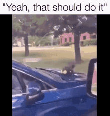 That Should Do It Squirrel Meme GIF - That Should Do It Squirrel Meme GIFs