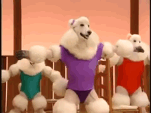 Nightmares GIF - Dogs Poodles Exercise GIFs