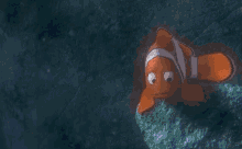 Dory Marlin GIF - Dory Marlin Finding Nemo GIFs
