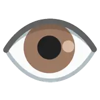 a close up of a brown eye with a white pupil on a white background