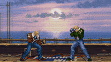 two fighters are fighting in a video game with the word fighting in the corner