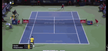 Montreal Tennis GIF
