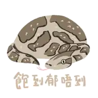 a drawing of a snake with chinese writing on the bottom