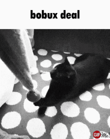 Bobux Deal GIF - Bobux Deal Handshake GIFs