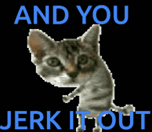 Jerk It Out Cat GIF - Jerk It Out Cat Jerk GIFs