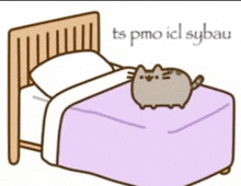 a cartoon cat is laying on a bed with the words " ts pmo icl sybau " written above it