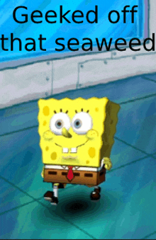 a cartoon of spongebob that says " geeked off that seaweed "