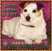 a picture of a dog with the words being a mom is ruff on it