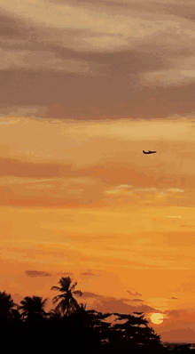 Going Home GIF - Going Home GIFs