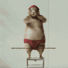 Funny Moving GIFs | Tenor
