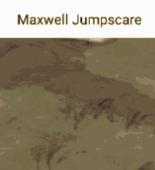 Maxwell Jumpscare Dont Starve GIF - Maxwell Jumpscare Dont Starve GIFs