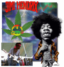 Jimi Hendrix Celeb GIF - Jimi Hendrix Celeb Celebrity GIFs