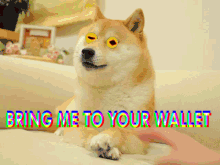 Bring Me To Your Wallet The Doge Nft GIF - Bring Me To Your Wallet The Doge Nft I Want Your Wallet GIFs