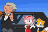 Sonic X Amy Rose GIF - Sonic X Amy Rose Pig Tails GIFs