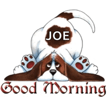 Morning Dog GIF - Morning Dog Good Morning GIFs