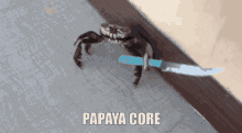 Papaya Core GIF - Papaya Core Papaya Core GIFs