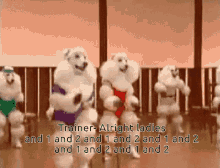 dance dog cute trainer exercise