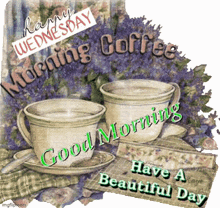Good Wednesday Morning Happy Wednesday GIF - Good Wednesday Morning Happy Wednesday GIFs