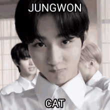 Jungwon Cat GIF - Jungwon Cat Jungwon Cat GIFs