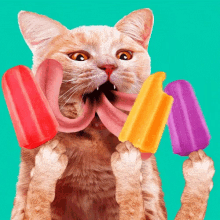 Popsicle Cat GIF - Popsicle Cat Slore GIFs
