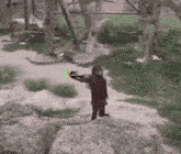 a monkey is standing on a rock with the words arc raiders on the bottom right