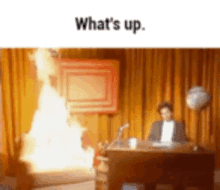 What Up GIF - What Up GIFs