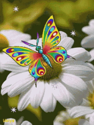 Flowers Butterfly GIF - Flowers Butterfly - Discover & Share GIFs