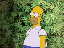 Homer Simpson Weed GIF - Homer Simpson Weed Dissapear GIFs