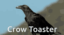 crow toaster crow toaster