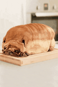 a pug dog laying on a cutting board with its head down