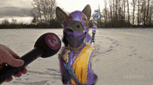 Rain Deer Reaction Meme GIF - Rain Deer Reaction Meme Mortal Kombat Meme GIFs