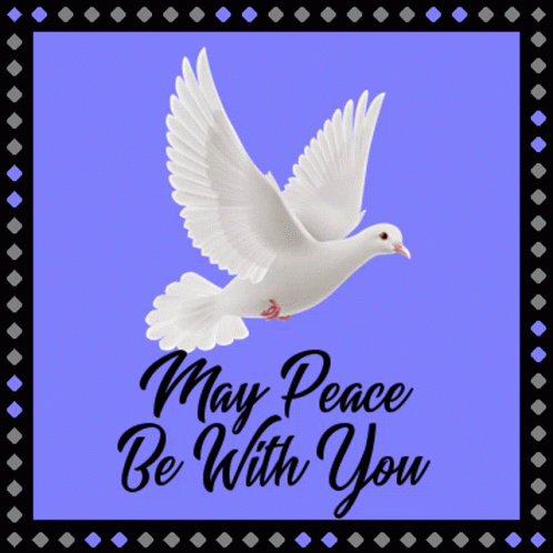 May Peace Be With You Peace GIF - May Peace Be With You Peace Dove GIFs