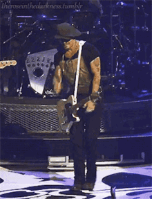 a man playing a guitar on a stage with the words " theroseinthedarkness.tumblr " at the top