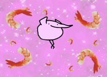 berd flamingo berd