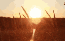 Breezy Peaceful GIF - Breezy Peaceful Nature GIFs