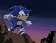 Backflip Kick Sonic X GIF - Backflip Kick Sonic X GIFs