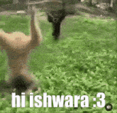 Hi Ishwara GIF - Hi Ishwara GIFs