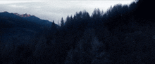 a dark forest with mountains in the background and a few trees in the foreground