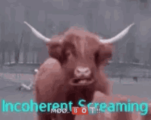 Cow Ram GIF - Cow Ram Scream GIFs