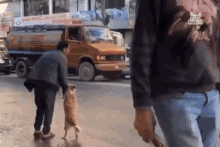 Walking Crossing The Road GIF - Walking Crossing The Road Weird Standing Dog GIFs
