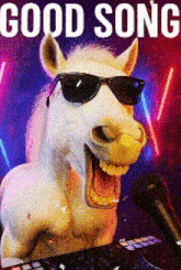 a white horse wearing sunglasses is singing into a microphone with the words good song behind it